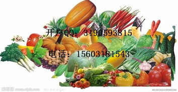 河北农交汇 农产品投资开户的明智之选