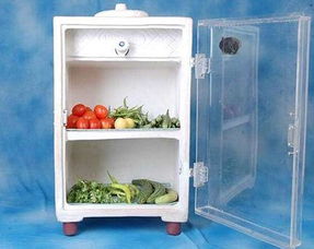 不插电的智能冰箱 日常用品中的生活智慧