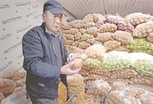 黄南打造特色农产品矩阵 引领产业升级