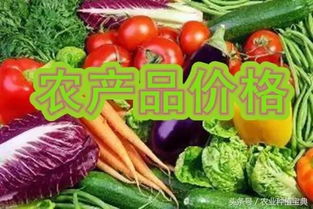 农资价格行情快报 6月19日农产品市场动态分析