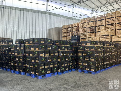 十五年双十一观察 安岳柠檬“换条赛道”闯世界