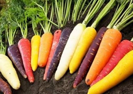 中国 全球农产品进口大国的现状与思考